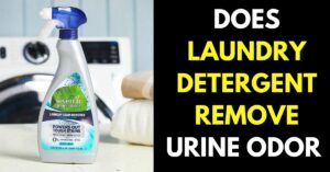 Does Laundry Detergent Remove Urine Odor (Here is What You Should Know)