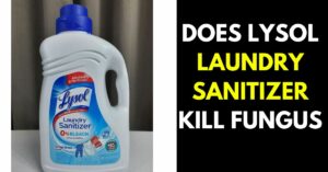 Does Lysol Laundry Sanitizer Kill Fungus: Here is What You Need to Know