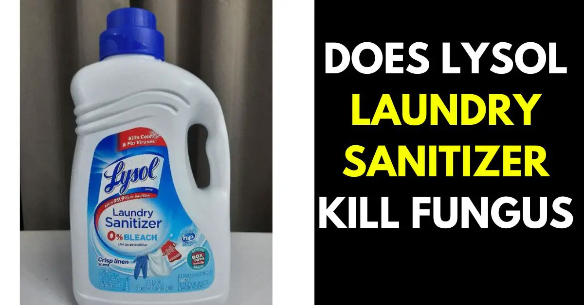 Does Lysol Laundry Sanitizer Kill Fungus