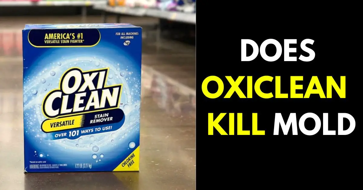 Does Oxiclean Kill Mold