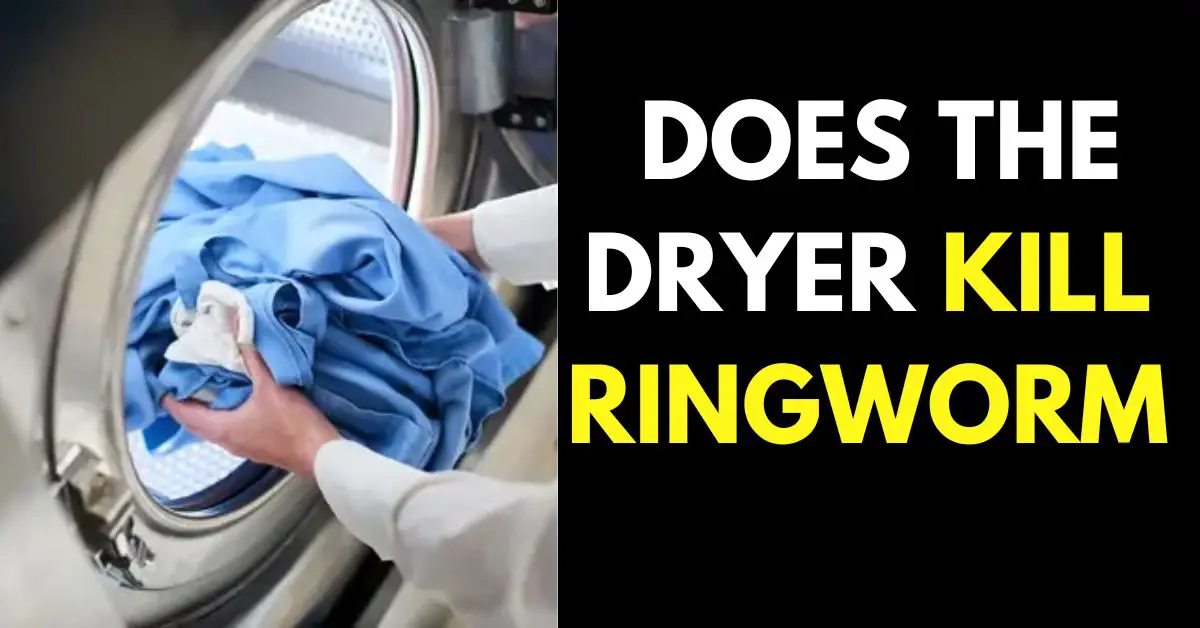 Does the Dryer Kill Ringworm
