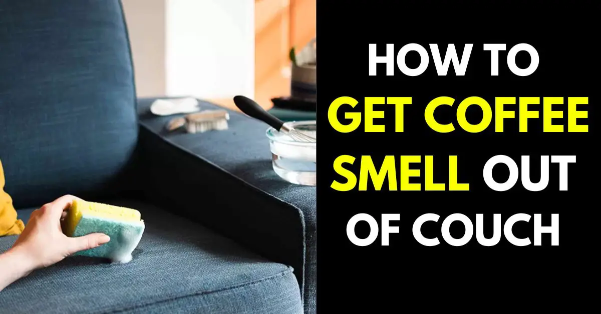 How to Get Coffee Smell Out of Couch