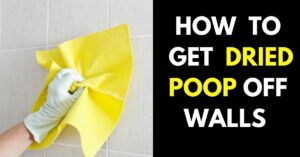 How to Get Dried Poop Off Walls: 9 Safe Ways