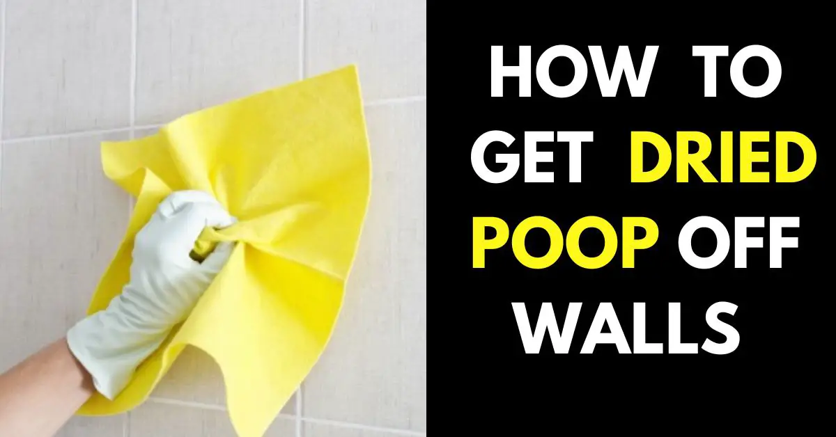 How to Get Dried Poop Off Walls