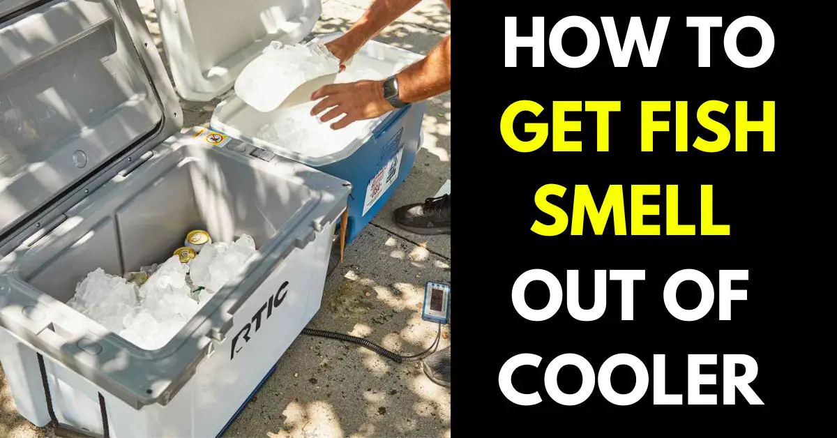 How to Get Fish Smell Out of Cooler