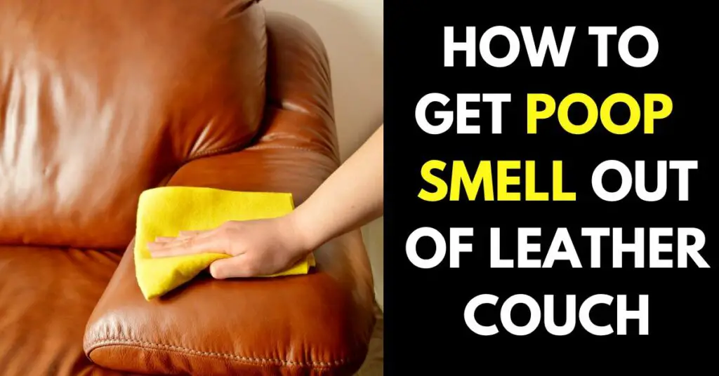 how-to-get-poop-smell-out-of-leather-couch-5-simple-ways