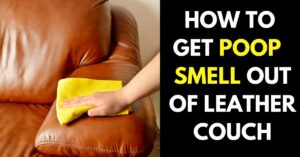 How to Get Poop Smell Out of Leather Couch (5 Simple Ways)