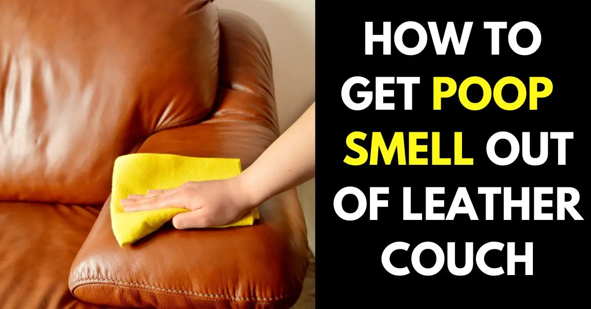 How to Get Poop Smell Out of Leather Couch
