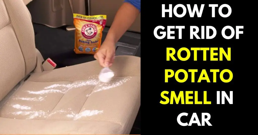 how-to-get-rid-of-rotten-potato-smell-in-car-with-just-3-ways