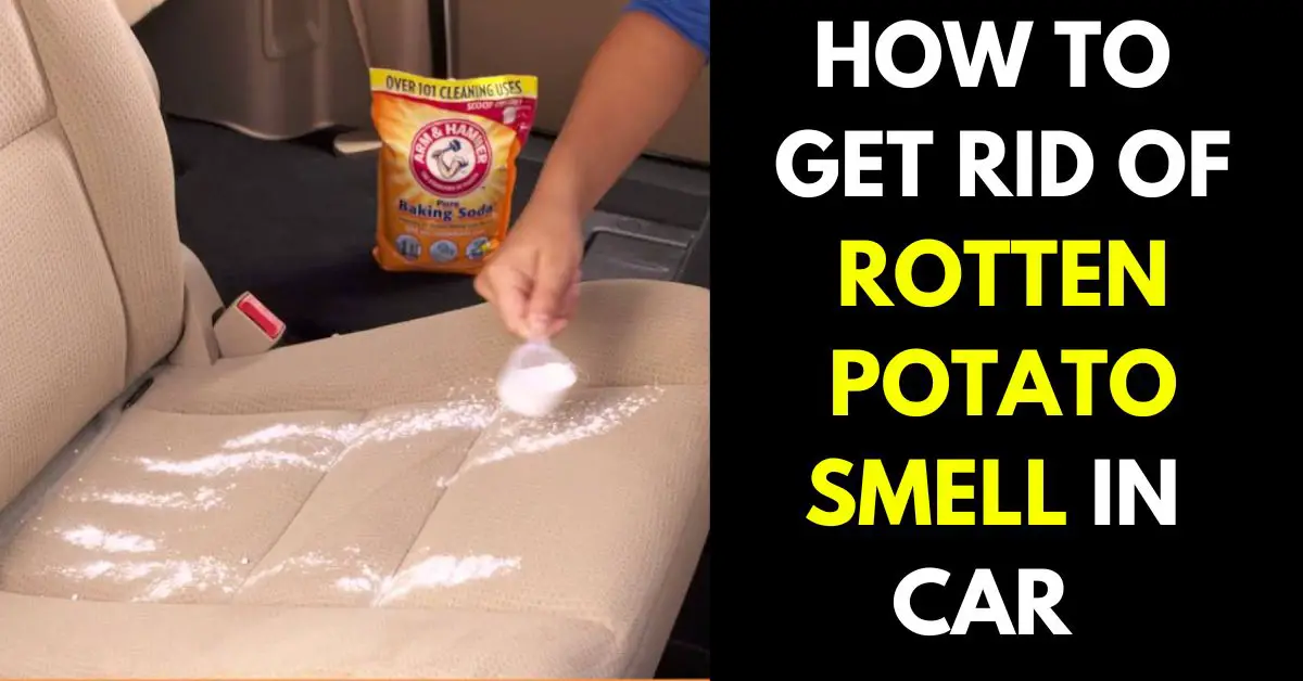 How to Get Rid of Rotten Potato Smell in Car