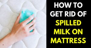How to Get Rid of Spilled Milk on Mattress in 4 Simple Steps