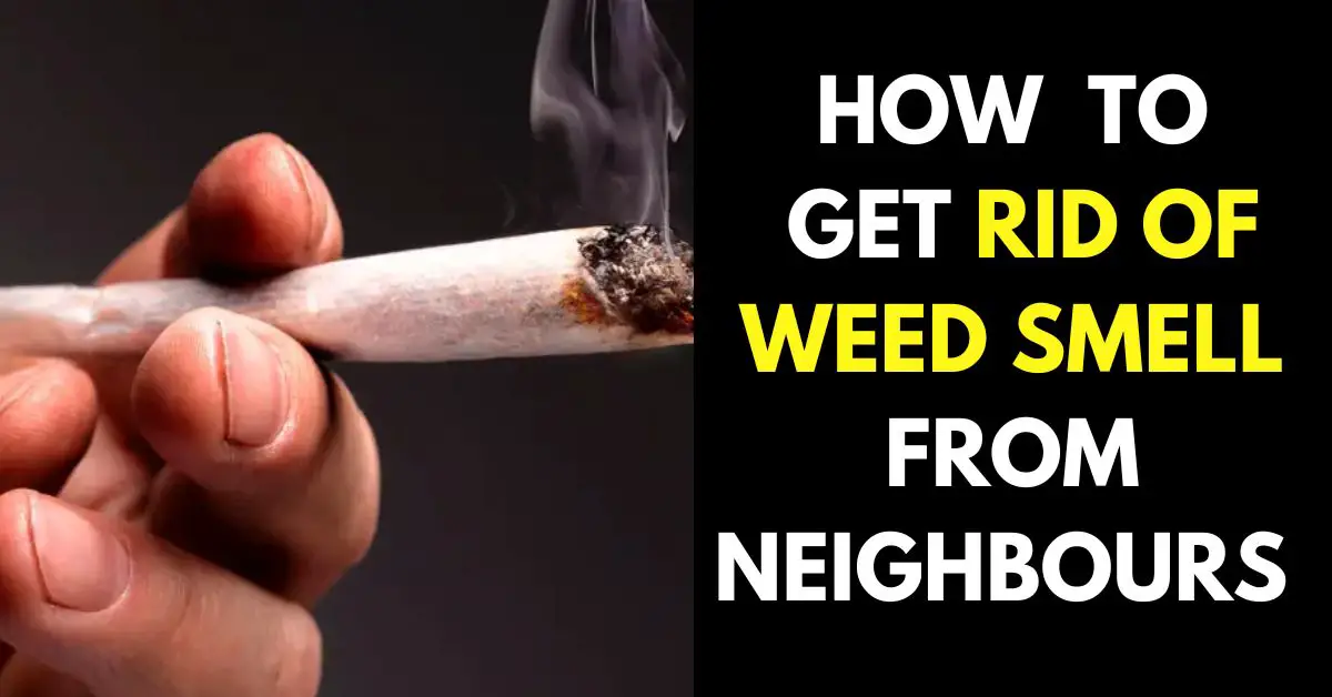 How to Get Rid of Weed Smell from Neighbours
