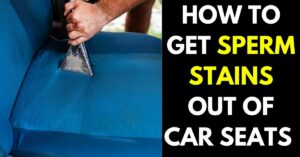 How to Get Sperm Stains Out of Car Seats (Detailed Guide)