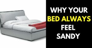 Why Does My Bed Always Feel Sandy: 7 Reasons You Should Know