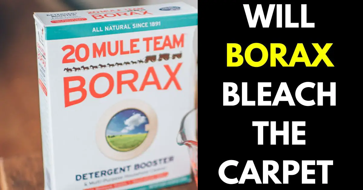 Will Borax Bleach Carpet