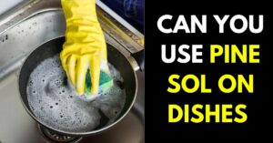 Can You Use Pine Sol on Dishes: (Explained Guide)
