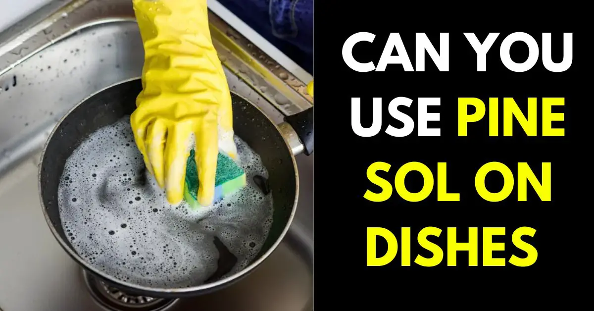Can You Use Pine Sol on Dishes