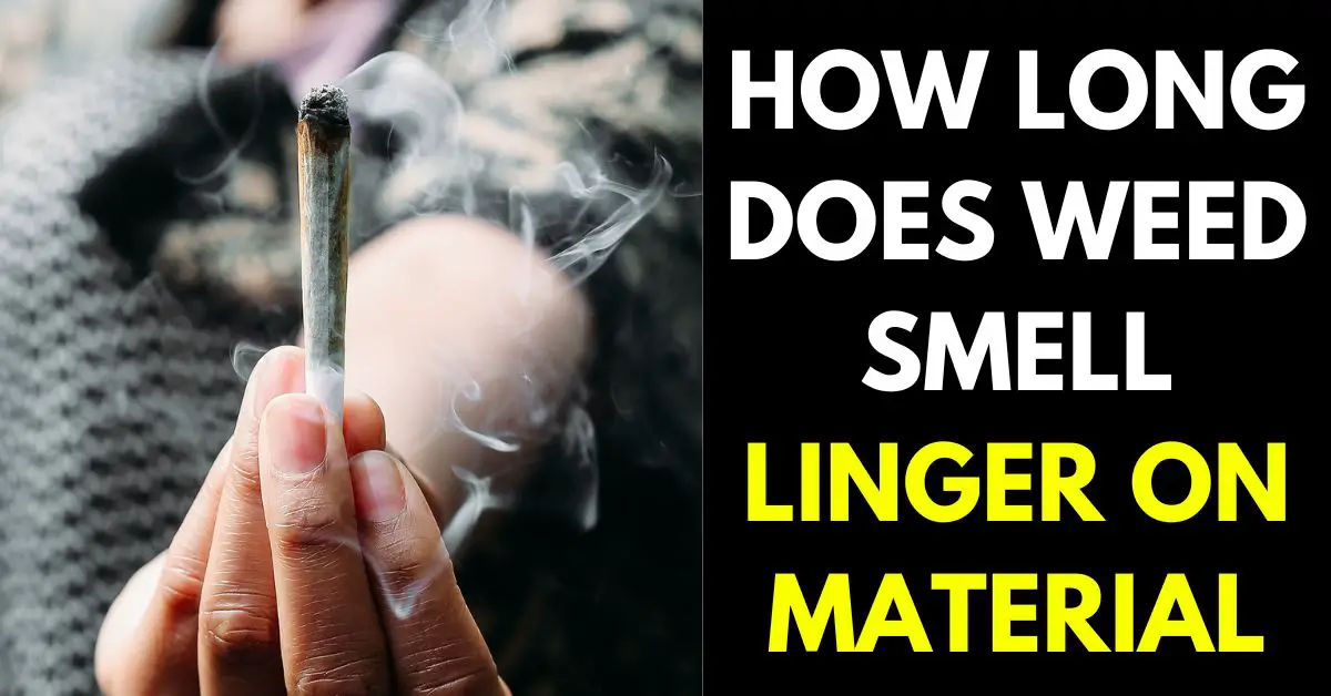 How Long Does Weed Smell Linger on Material