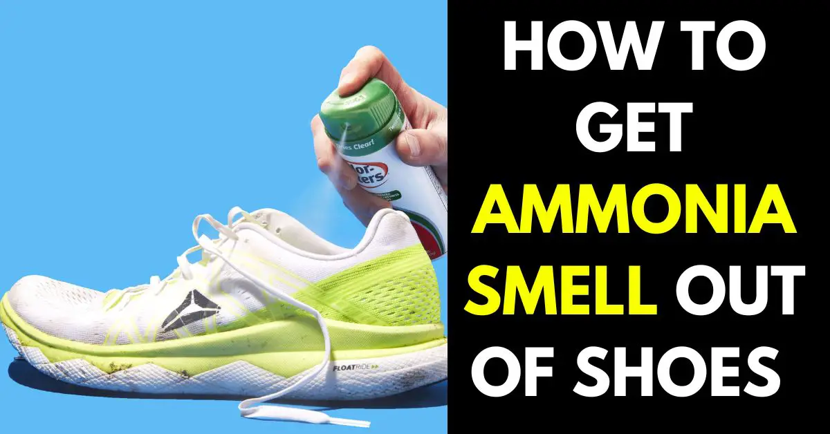 Uitbreiding spons Cornwall How to Get Ammonia Smell Out of Shoes (5 Unexpected Ways)