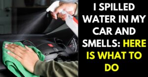 I Spilled Water in My Car and It Smells: Here is What to Do