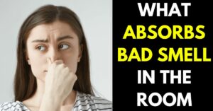 What Absorbs Bad Smells in Room: 4 Best DIY Odor Eliminators