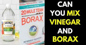 Can You Mix Borax and Vinegar: Yes (Here is How to Do it)