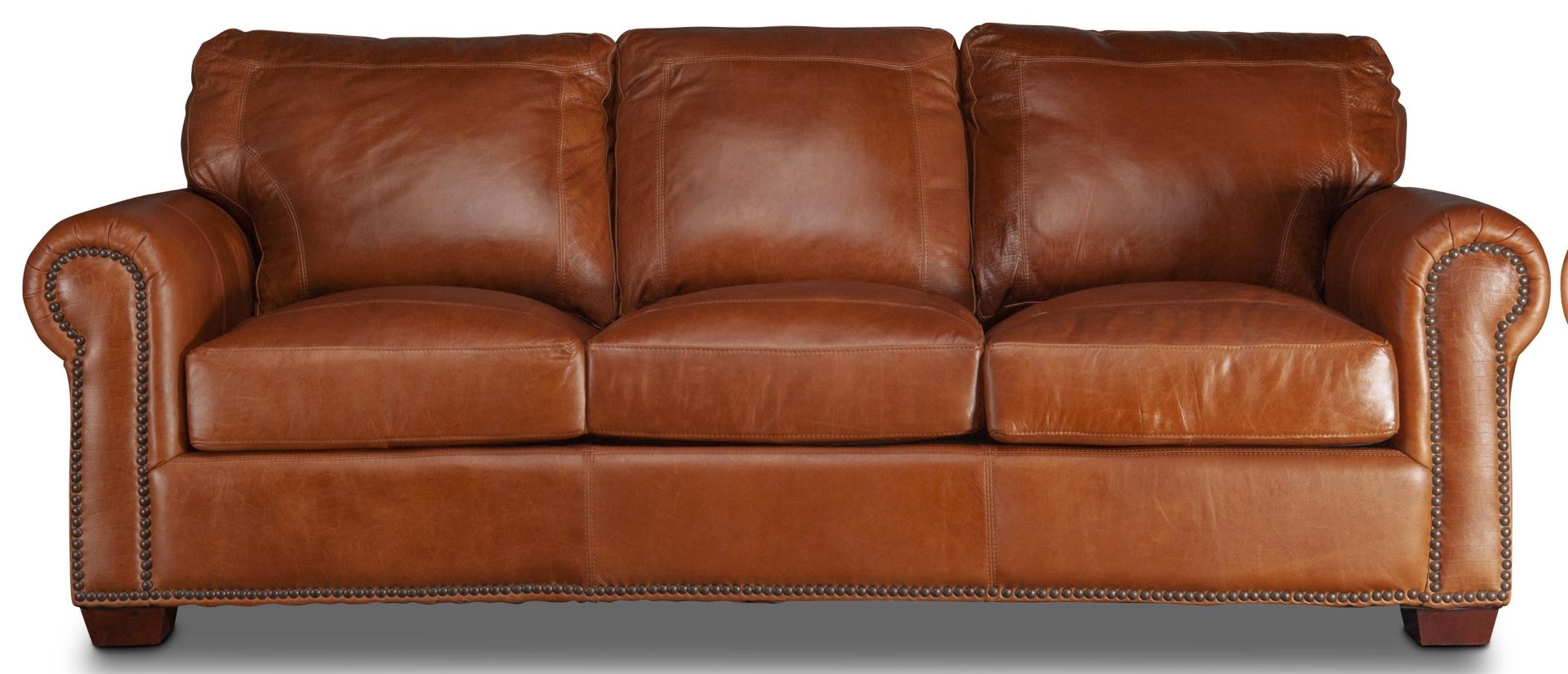 how-to-get-poop-smell-out-of-leather-couch-5-simple-ways