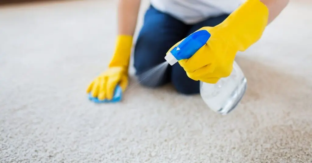 How To Clean Liquid Detergent Out Of Carpet