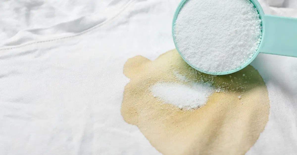 Enzymes: Nature's Stain Fighters in Your Detergent