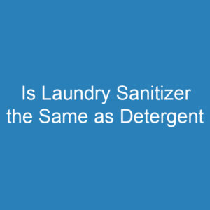 Is Laundry Sanitizer the Same as Detergent